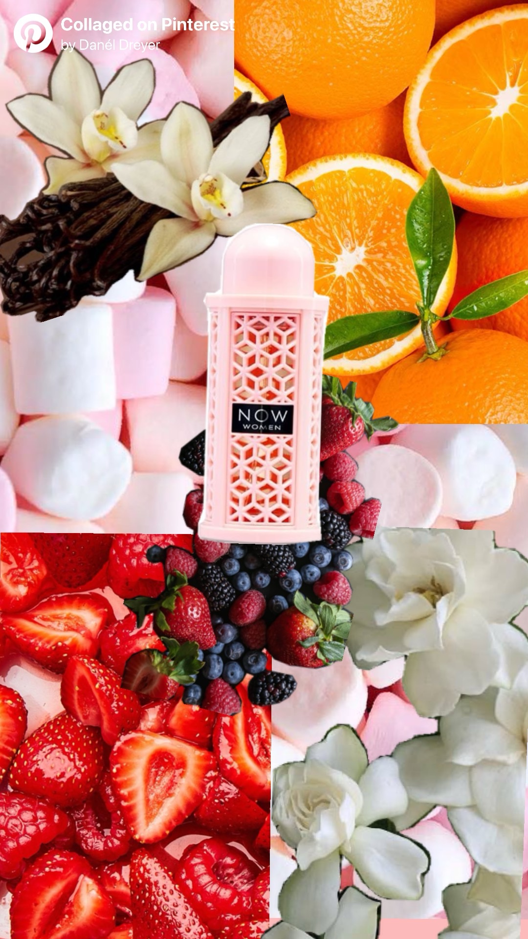 Manel | Dubai Perfume - Rave Now (Lattafa) - Image 2