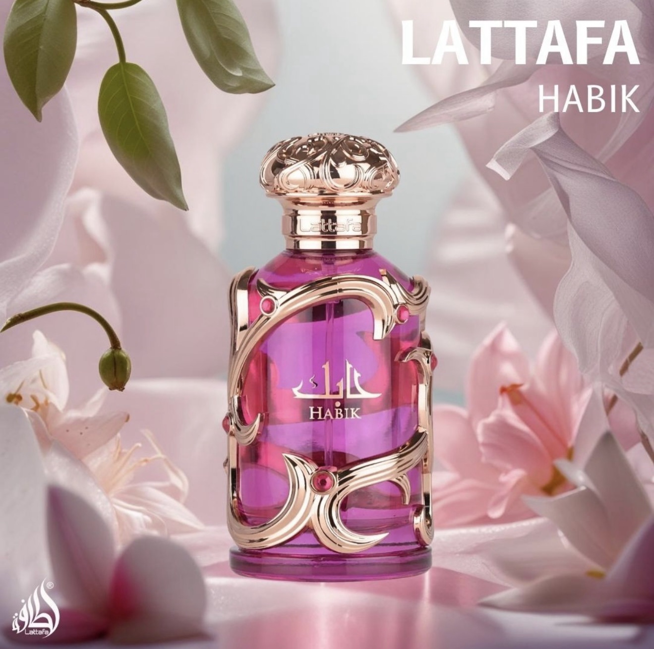 Manel | Dubai Perfume – Habik (Lattafa) | Manel Namibia